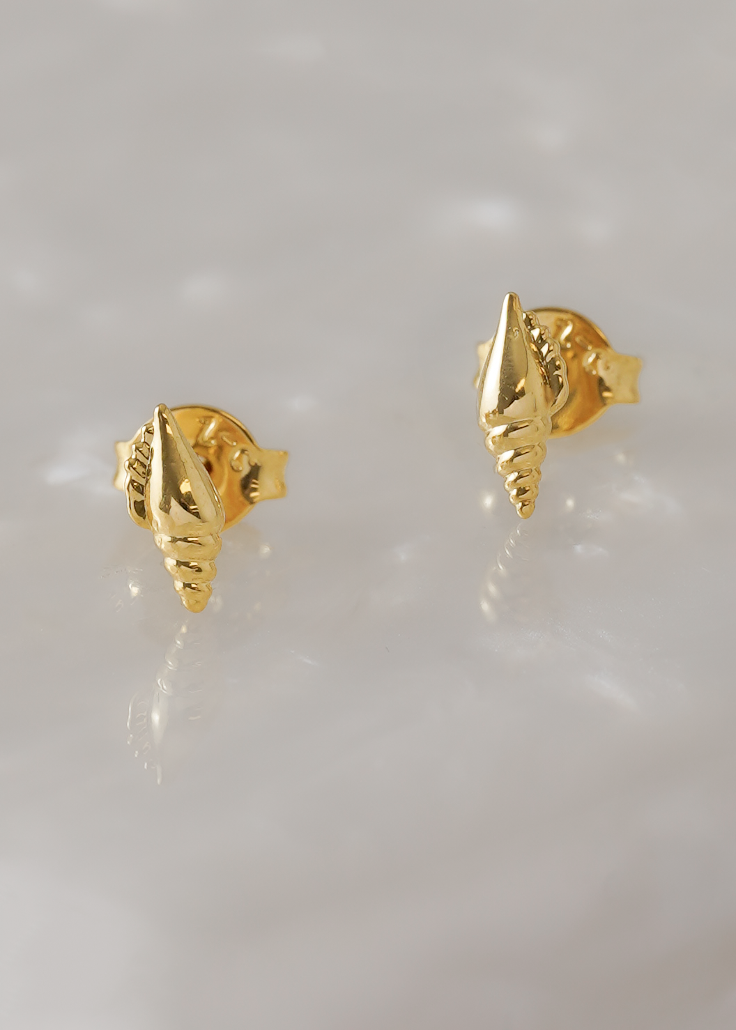 Pendientes Aretes Shell