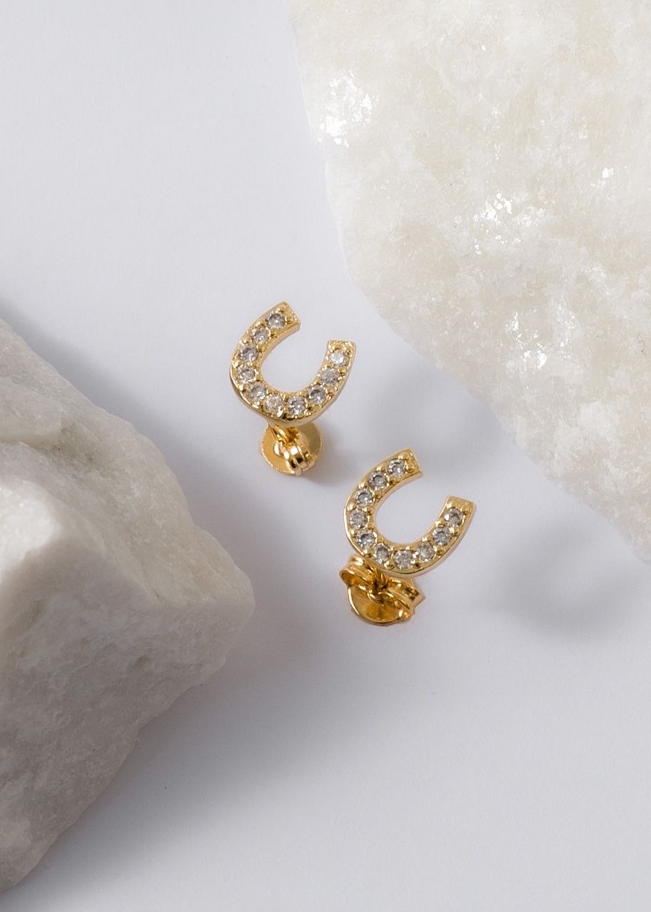 Pendientes  Equino