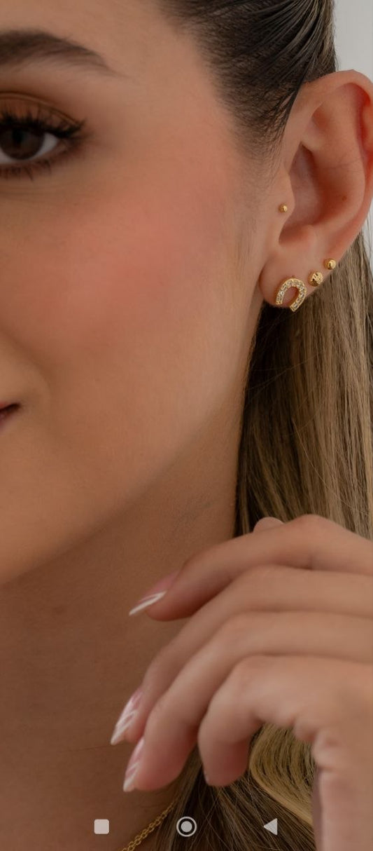 Pendientes  Equino