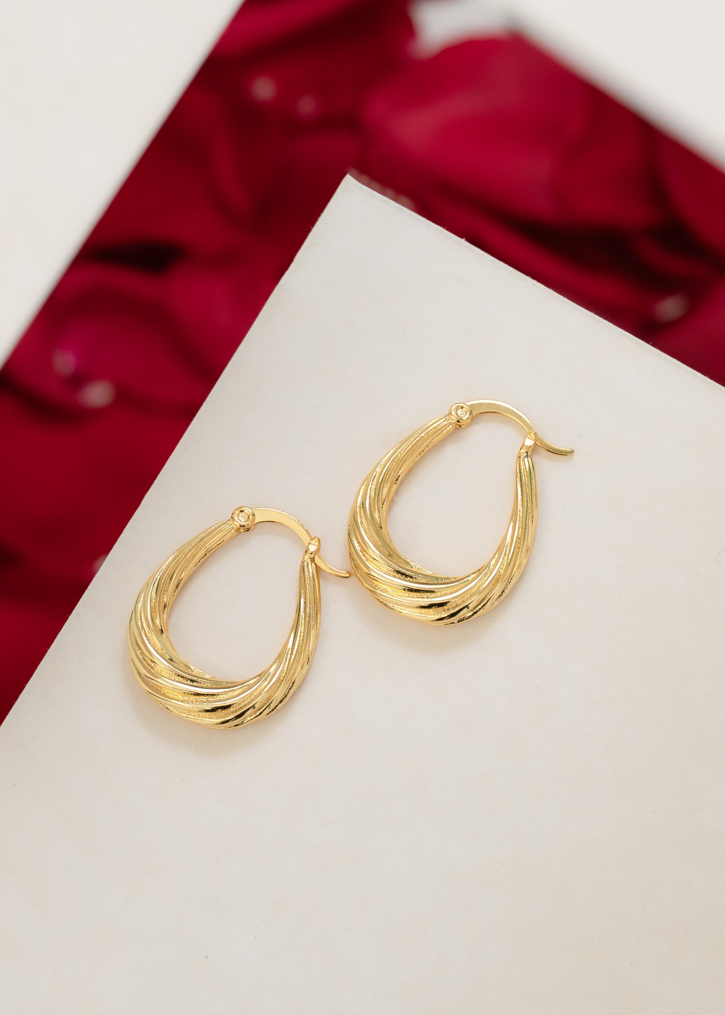 Pendientes Aros Hills G