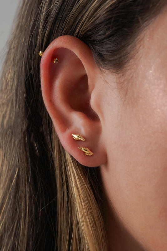 Pendientes  Shell
